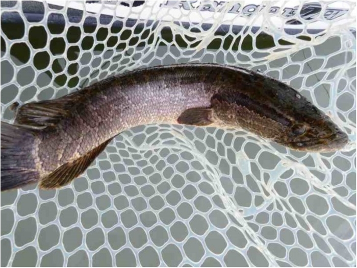 truth  ブログ写真 2018/09/07