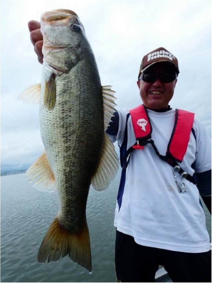 truth  ブログ写真 2018/09/07