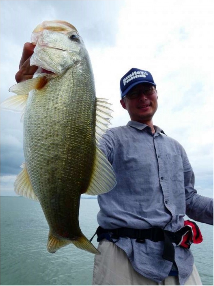 truth  ブログ写真 2018/09/07