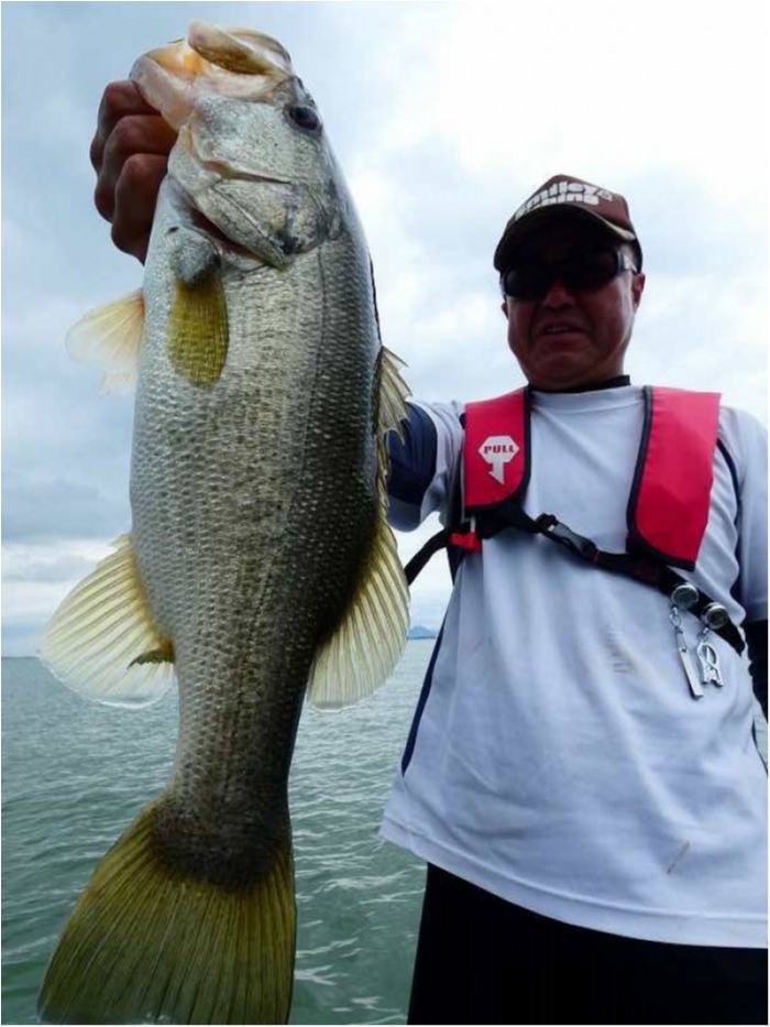 truth  ブログ写真 2018/09/07