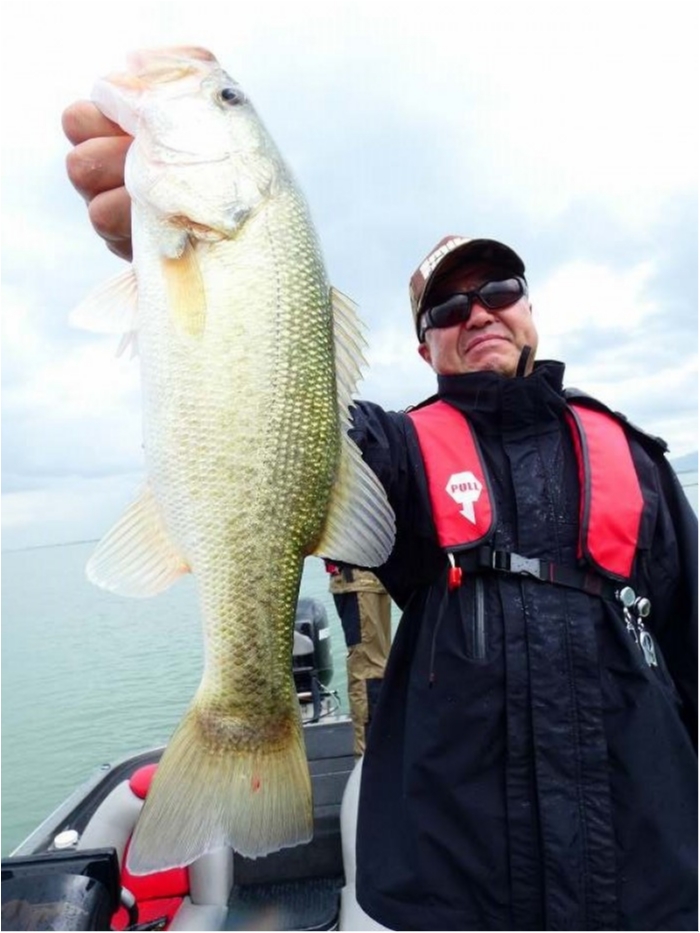 truth  ブログ写真 2018/09/07