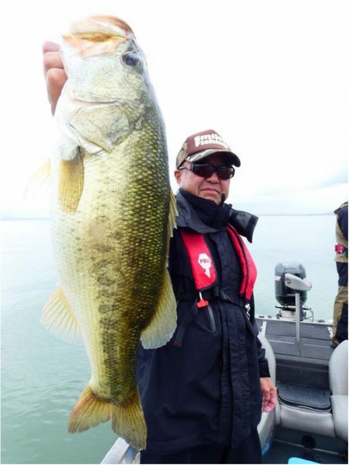 truth  ブログ写真 2018/09/07