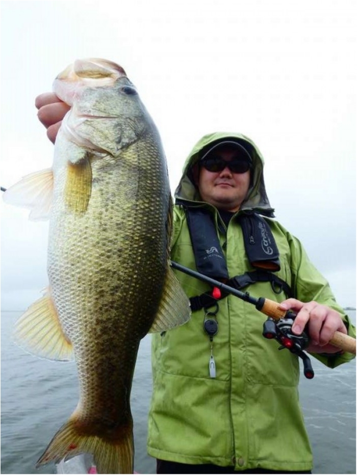 truth  ブログ写真 2018/09/08