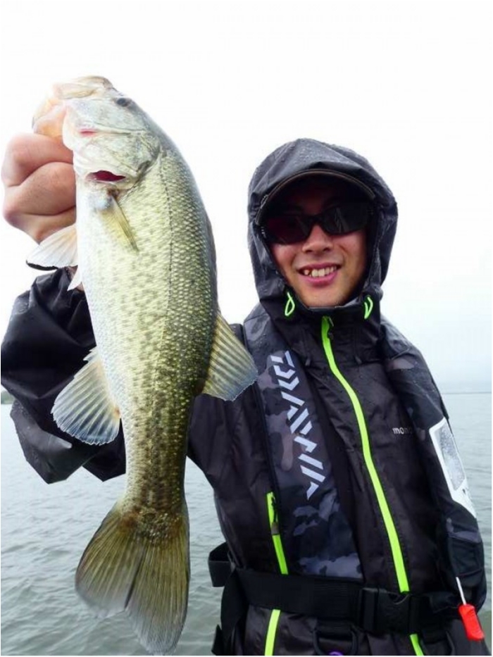 truth  ブログ写真 2018/09/08