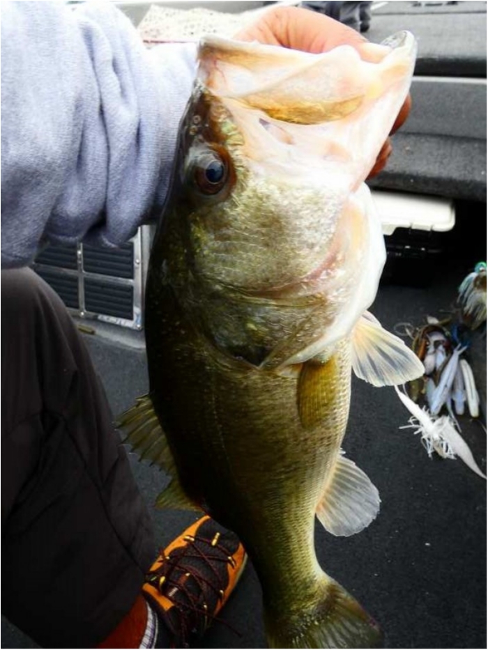 truth  ブログ写真 2018/09/08