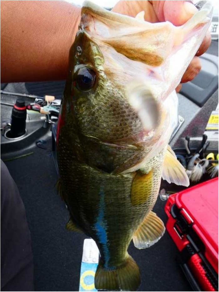 truth  ブログ写真 2018/09/09