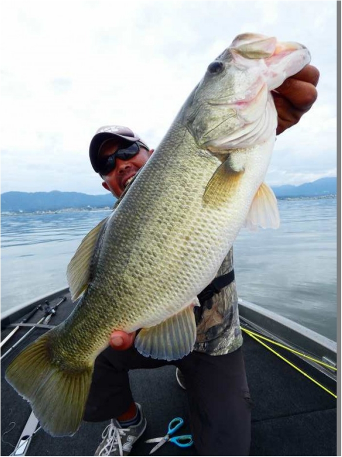 truth  ブログ写真 2018/09/09