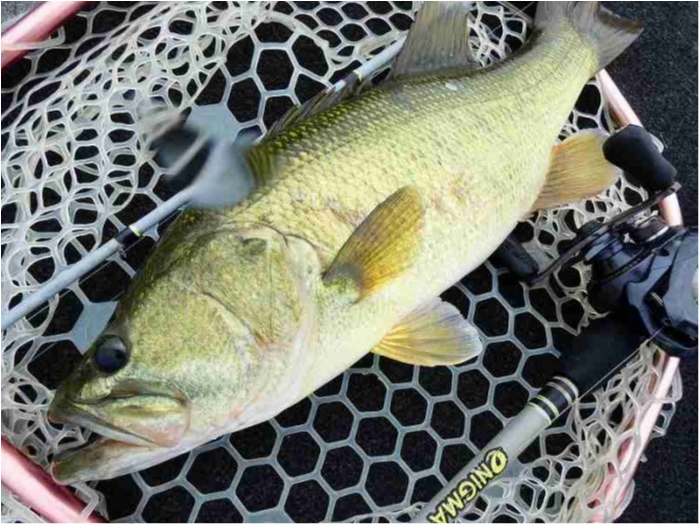 truth  ブログ写真 2018/09/09