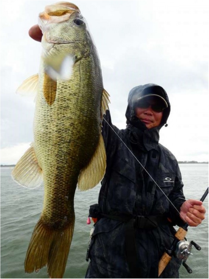 truth  ブログ写真 2018/09/09