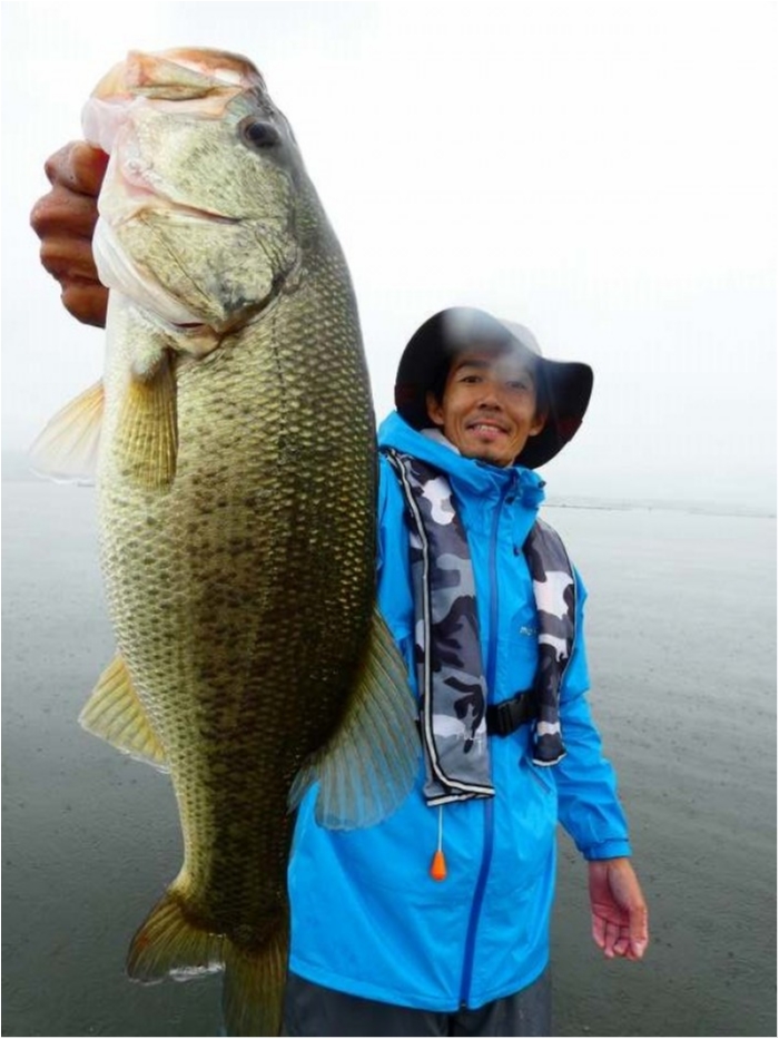 truth  ブログ写真 2018/09/10