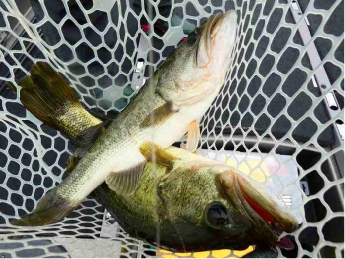 truth  ブログ写真 2018/09/10