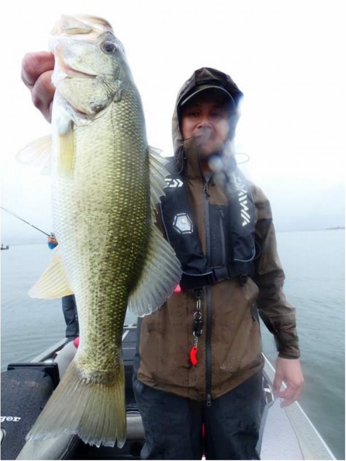 truth  ブログ写真 2018/09/10