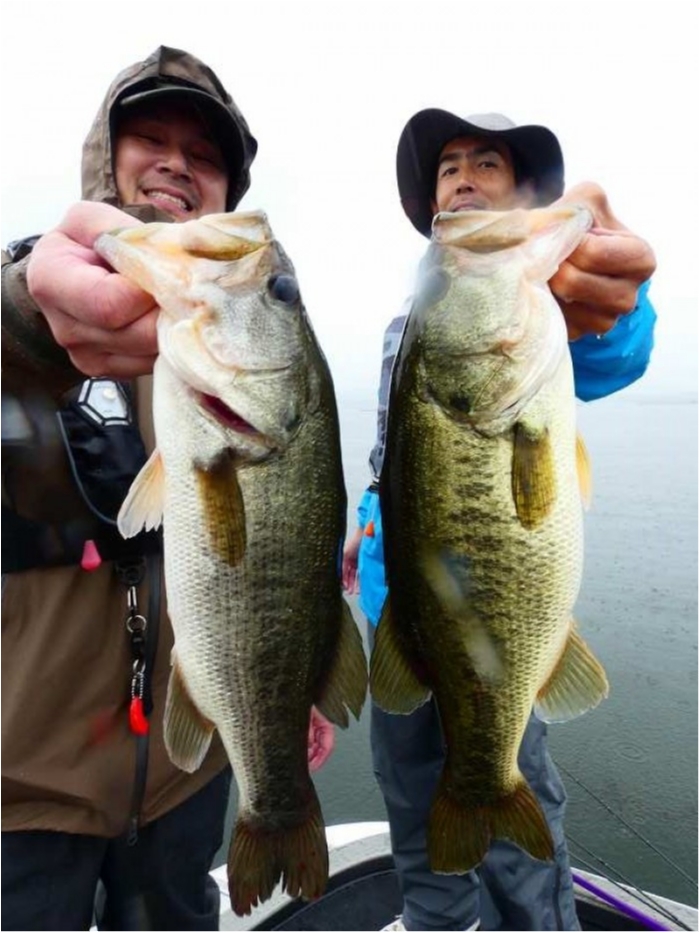 truth  ブログ写真 2018/09/10