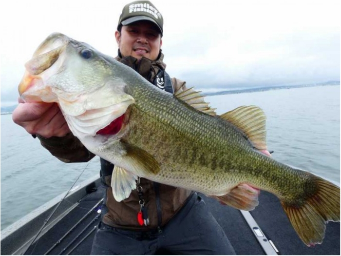 truth  ブログ写真 2018/09/10