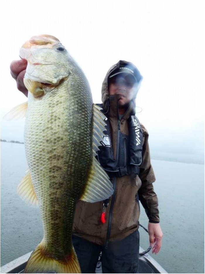 truth  ブログ写真 2018/09/10