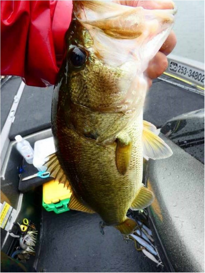 truth  ブログ写真 2018/09/10