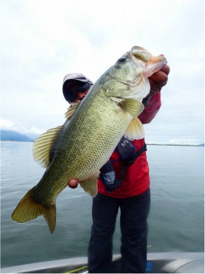 truth  ブログ写真 2018/09/10