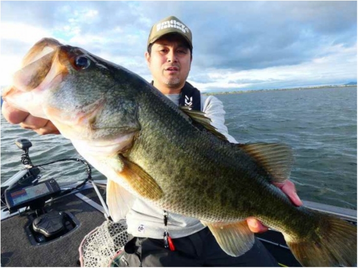 truth  ブログ写真 2018/09/10