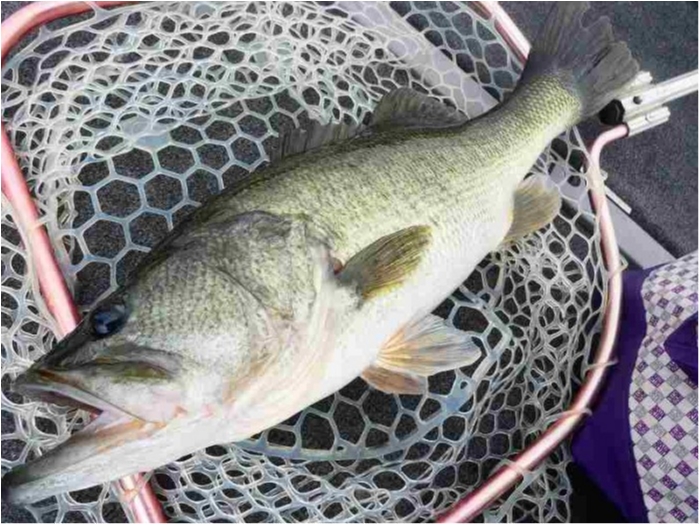 truth  ブログ写真 2018/09/11