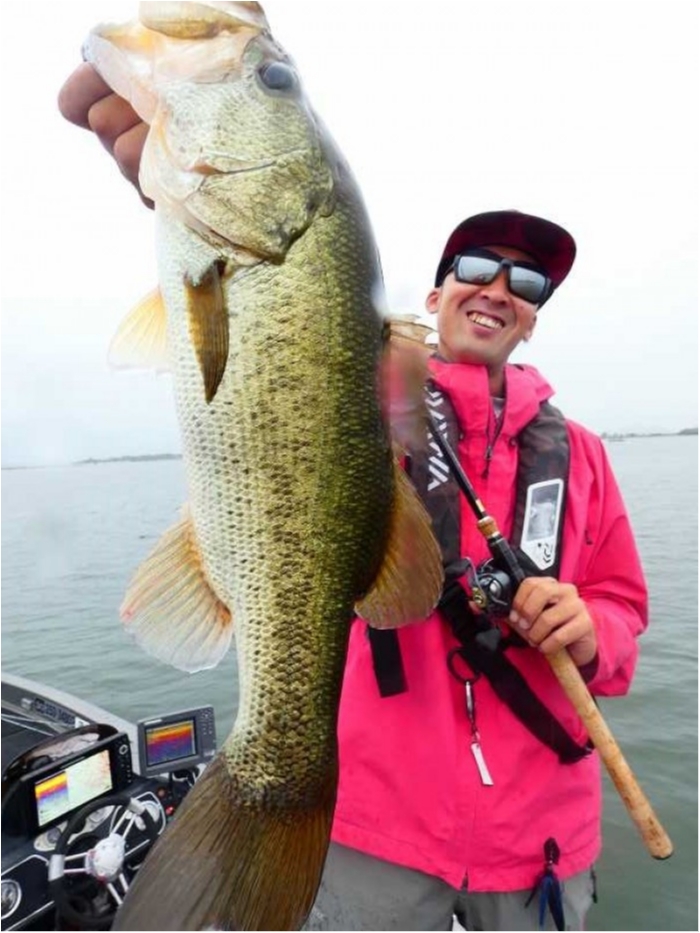 truth  ブログ写真 2018/09/12