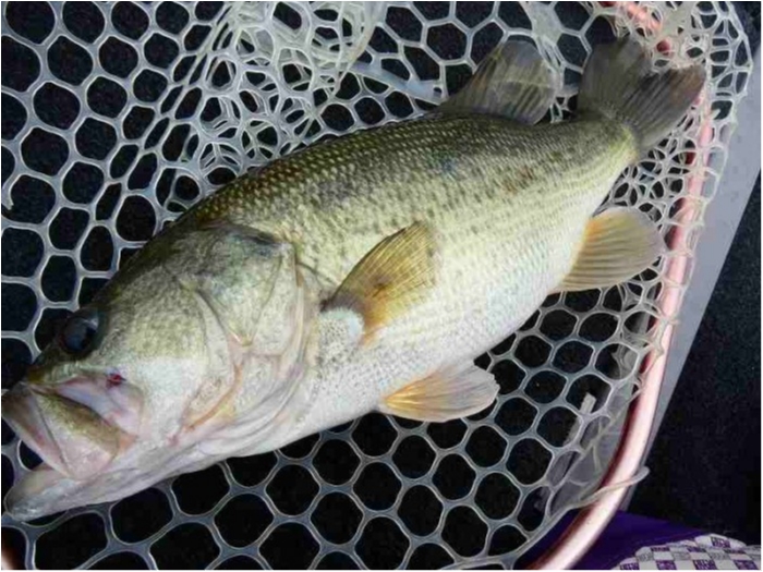 truth  ブログ写真 2018/09/12