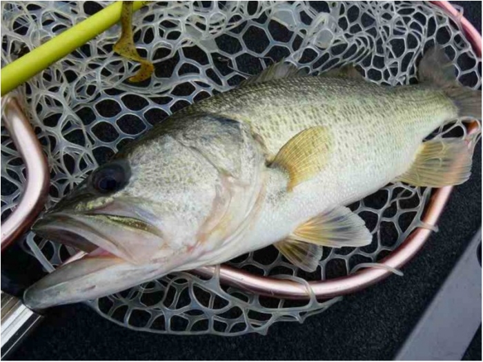 truth  ブログ写真 2018/09/13