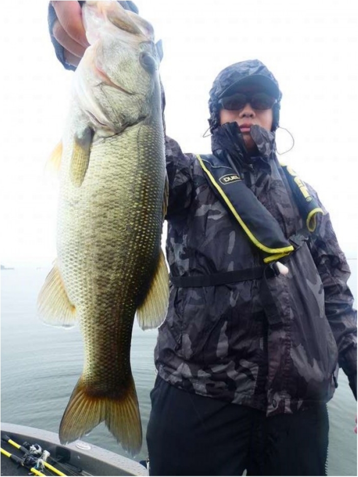 truth  ブログ写真 2018/09/15