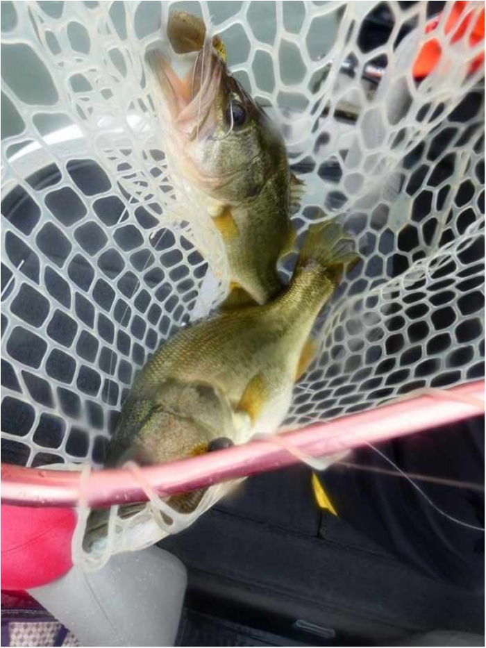 truth  ブログ写真 2018/09/15