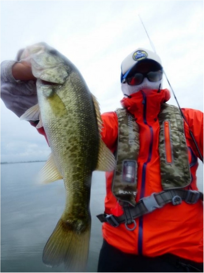 truth  ブログ写真 2018/09/15