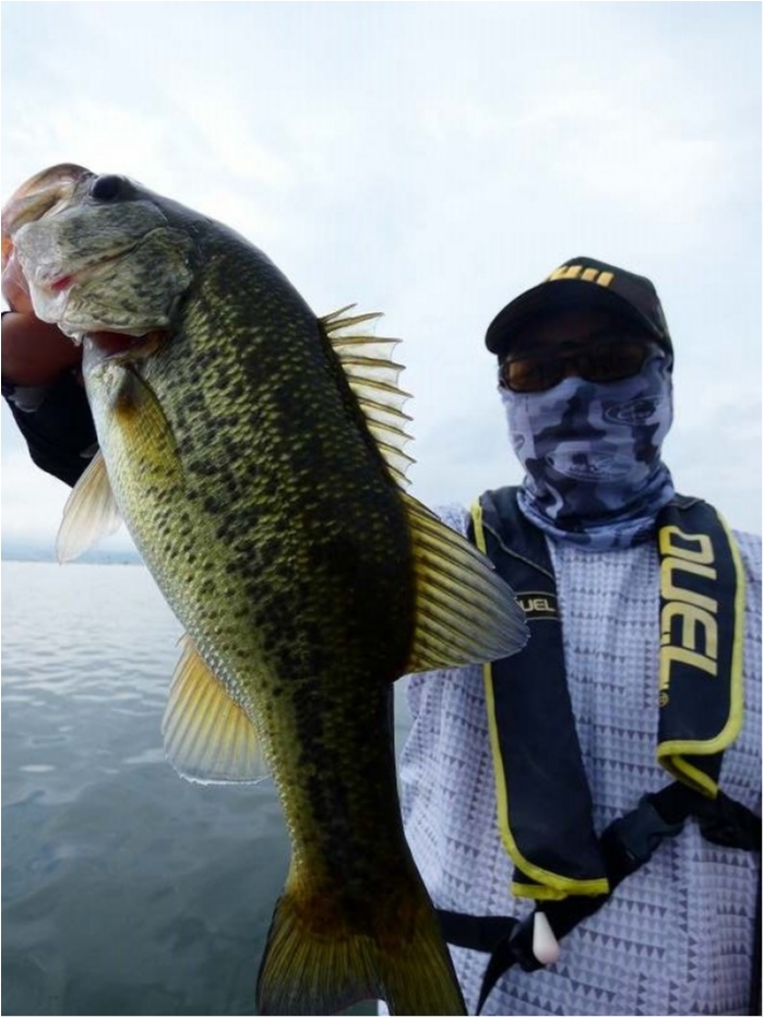 truth  ブログ写真 2018/09/15