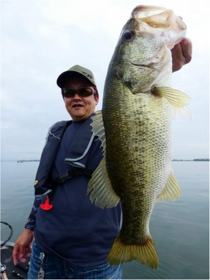 truth  ブログ写真 2018/09/16