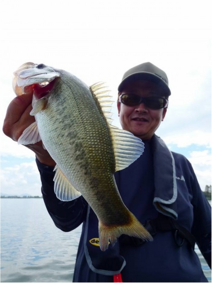 truth  ブログ写真 2018/09/16