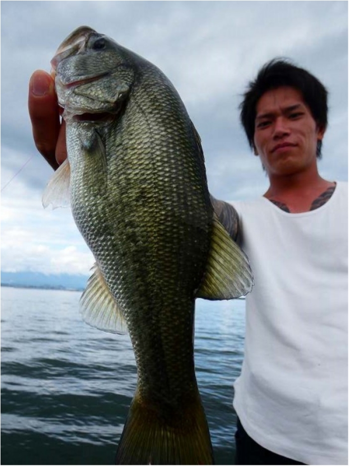 truth  ブログ写真 2018/09/16