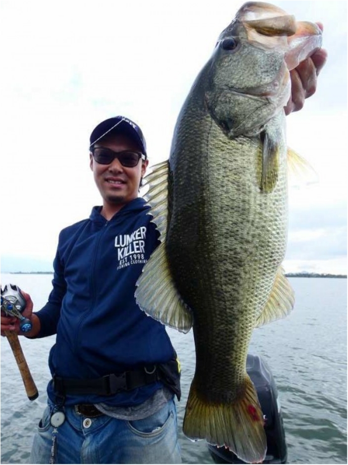 truth ブログ写真 2018/09/17