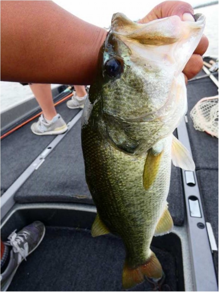 truth ブログ写真 2018/09/17