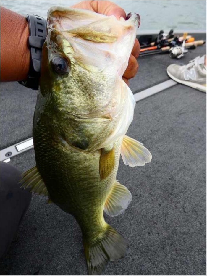 truth ブログ写真 2018/09/17