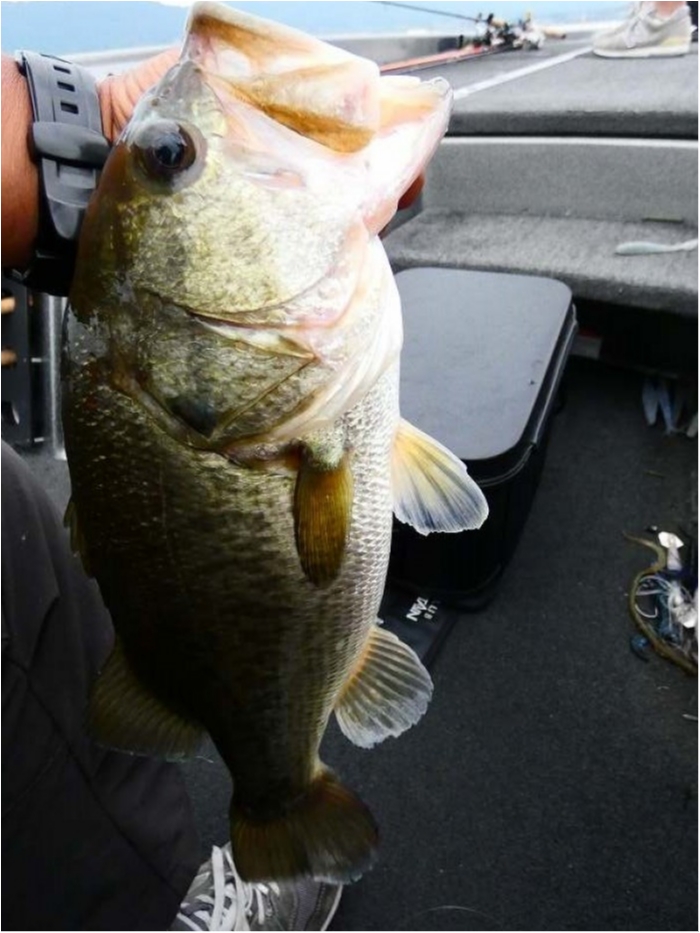 truth ブログ写真 2018/09/17