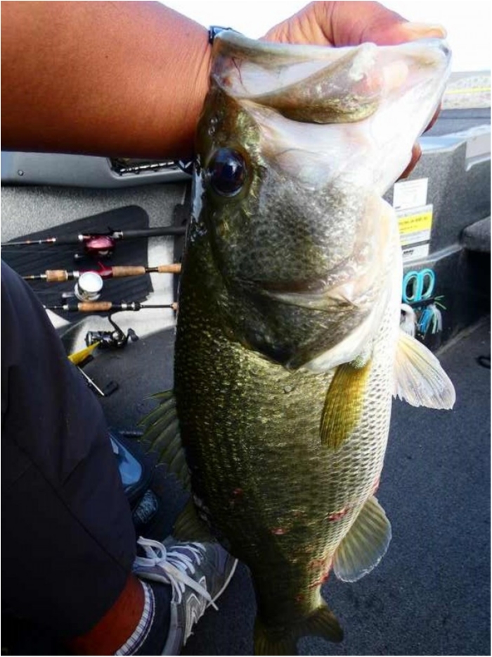 truth ブログ写真 2018/09/18