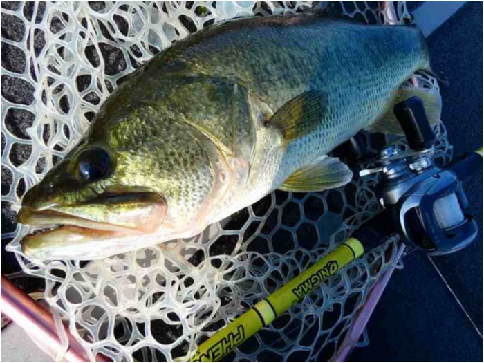 truth ブログ写真 2018/09/18