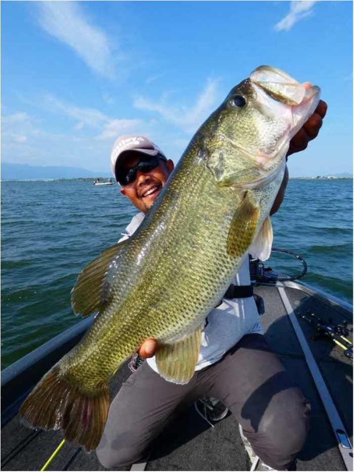 truth ブログ写真 2018/09/18