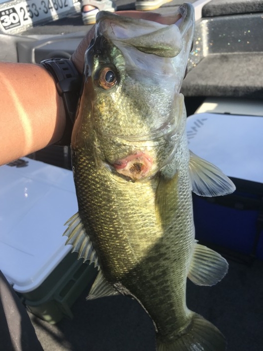 truth ブログ写真 2018/09/19