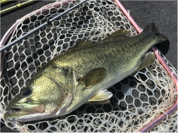 truth ブログ写真 2018/09/19