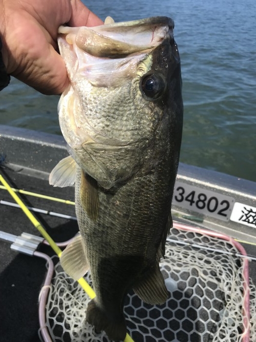 truth ブログ写真 2018/09/19