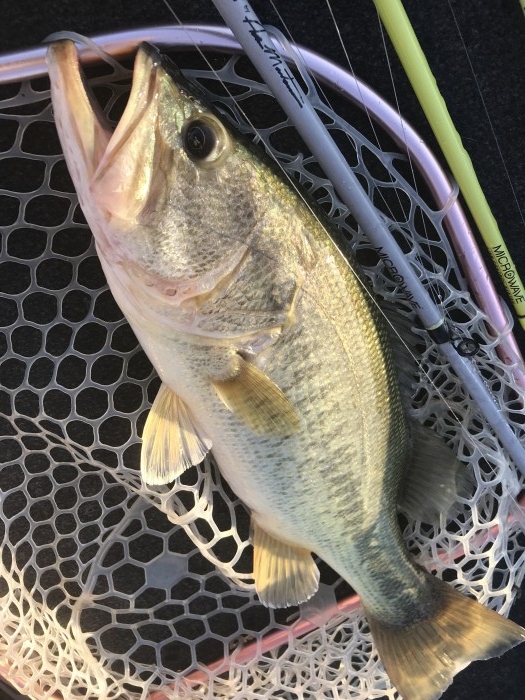 truth ブログ写真 2018/09/19