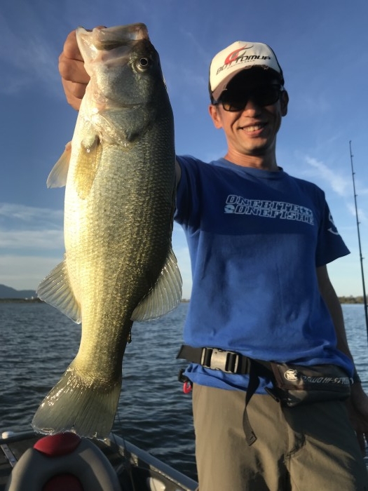 truth ブログ写真 2018/09/19