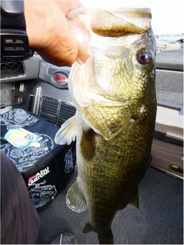 truth  ブログ写真 2018/09/24