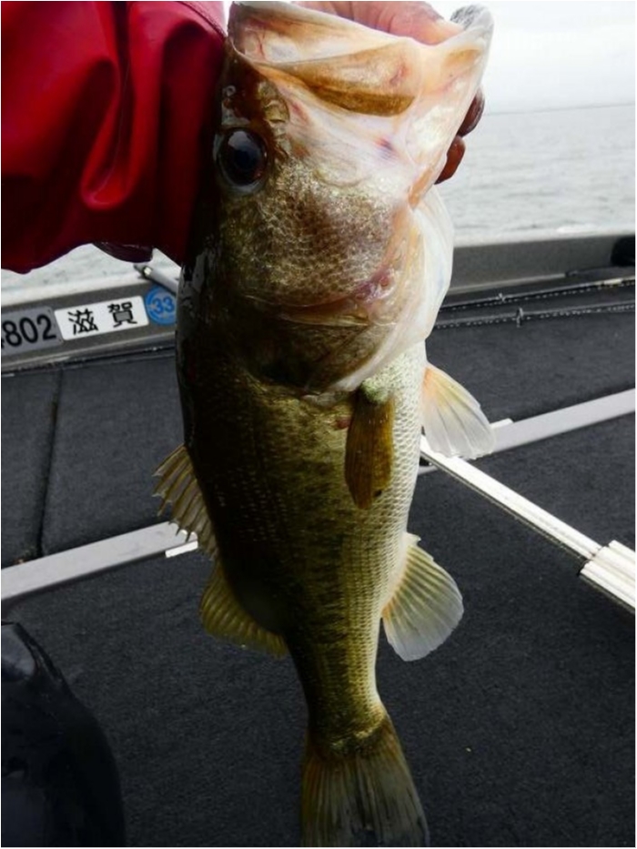 truth  ブログ写真 2018/09/26