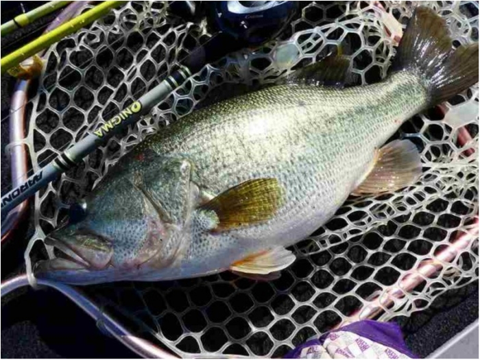 truth  ブログ写真 2018/09/26