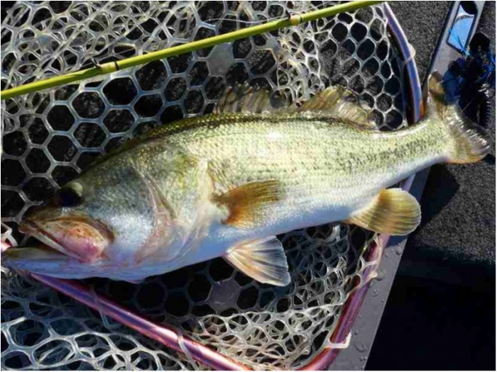 truth  ブログ写真 2018/10/02