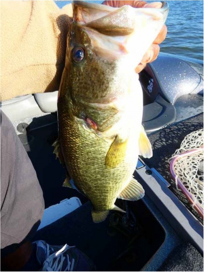 truth  ブログ写真 2018/10/02